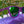 Load image into Gallery viewer, Goodr Gardening With A Kraken Sunglasses