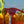 Load image into Gallery viewer, Goodr Phoenix At A Bloody Mary Bar