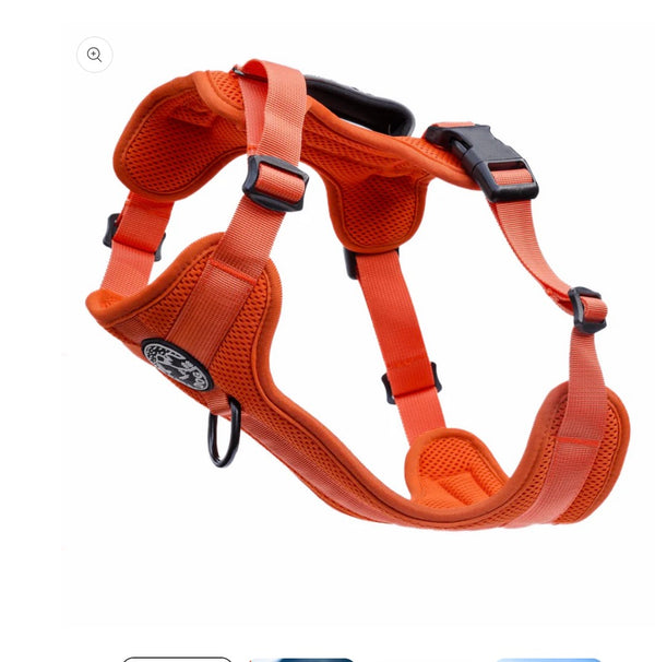 Fell Dog Helvellyn Harness FWH-316-24