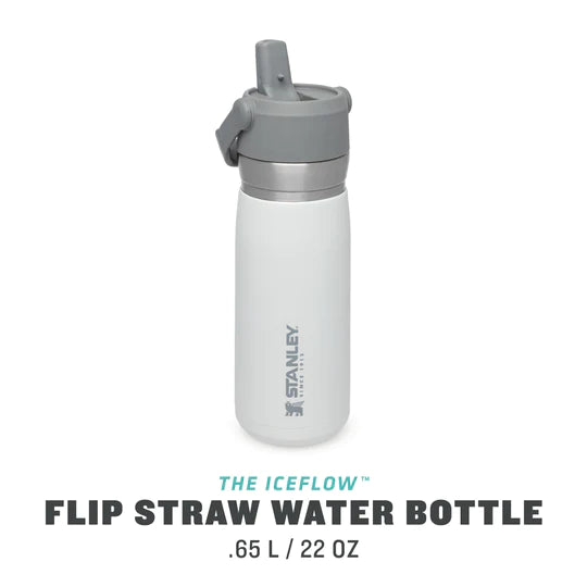 STANLEY Flip Straw Water Bottle 22oz